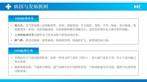 a0140 慢性阻塞性肺疾病PPT课件35页可编辑无水印直接可用 第4页