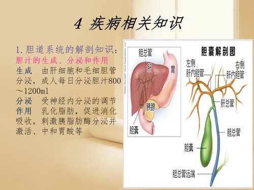a0148 一例胆总管结石患者的围手术期的护理PPT课件41页可编辑无水印直接可用 第14页