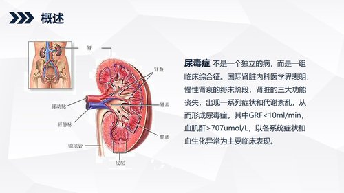 a0168 尿毒症患者的护理查房知识课件PPT课件40页可编辑无水印直接可用 第12页