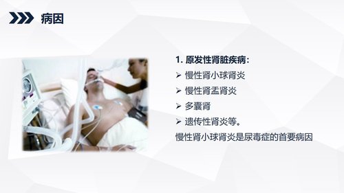 a0168 尿毒症患者的护理查房知识课件PPT课件40页可编辑无水印直接可用 第13页