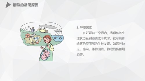 a0173 幼儿唇裂的护理查房PPT课件38页可编辑无水印直接可用 第4页