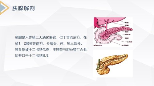 a0178 急性胰腺炎护理查房PPT课件30页可编辑无水印直接可用 第6页