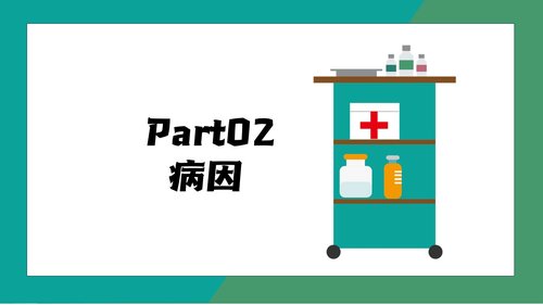 a0194 消化道出血护理 (2)PPT课件28页可编辑无水印直接可用 第5页