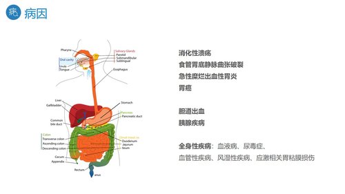a0195 消化道出血护理PPT课件27页可编辑无水印直接可用 第5页