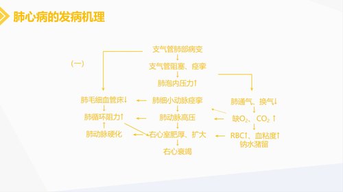 a0216 肺源性心脏病病人的护理PPT课件30页可编辑无水印直接可用 第6页