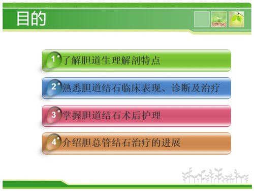 a0226 胆总管结石护理查房PPT课件43页可编辑无水印直接可用 第2页