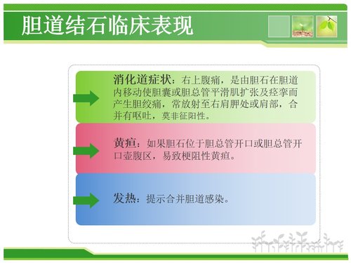 a0226 胆总管结石护理查房PPT课件43页可编辑无水印直接可用 第4页