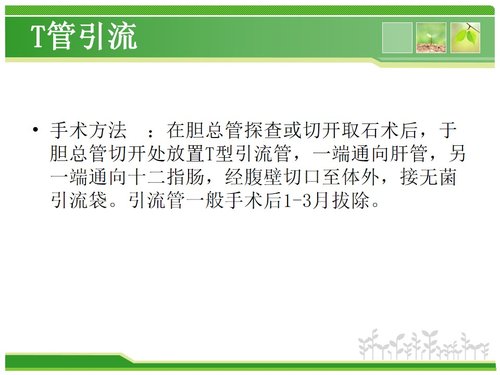 a0226 胆总管结石护理查房PPT课件43页可编辑无水印直接可用 第10页