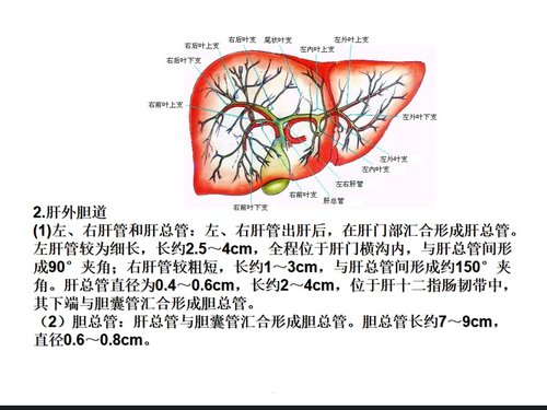 a0227 胆总管结石护理查房完整版PPT课件36页可编辑无水印直接可用 第2页