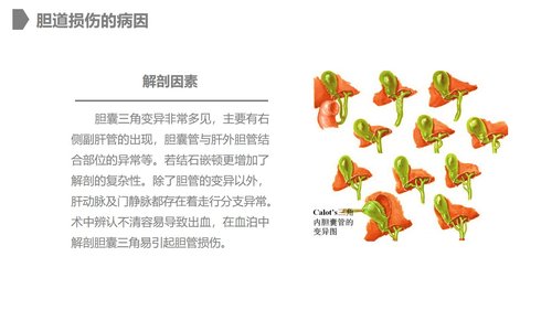 a0228 胆道损伤的护理措施知识课件PPT课件28页可编辑无水印直接可用 第3页