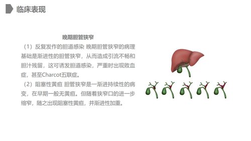 a0228 胆道损伤的护理措施知识课件PPT课件28页可编辑无水印直接可用 第7页