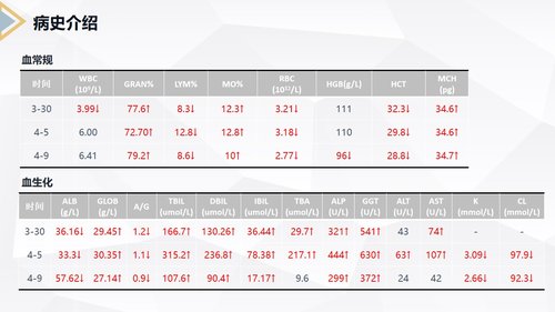 a0229 胰腺癌患者护理查房PPT课件40页可编辑无水印直接可用 第12页