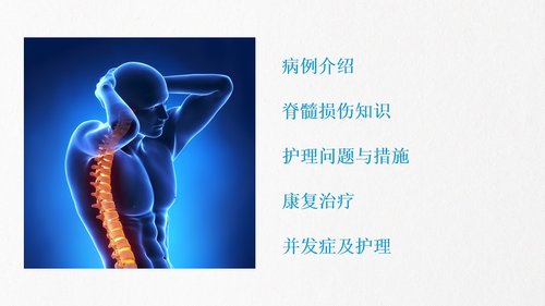 a0230 脊髓损伤PPT课件43页可编辑无水印直接可用 第2页