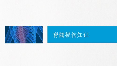 a0230 脊髓损伤PPT课件43页可编辑无水印直接可用 第4页