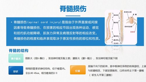 a0230 脊髓损伤PPT课件43页可编辑无水印直接可用 第5页