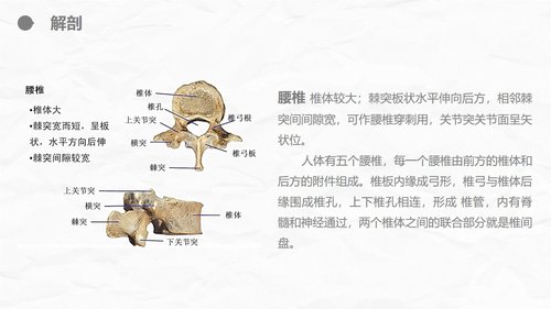 a0235 腰颈椎联合手术患者术后护理课件PPT课件23页可编辑无水印直接可用 第5页
