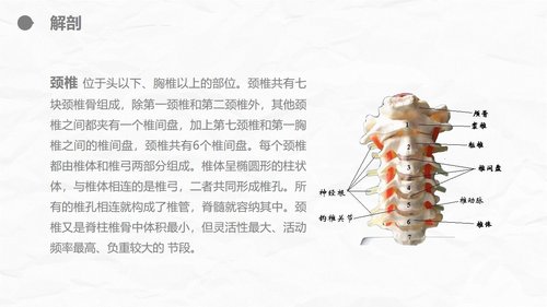 a0235 腰颈椎联合手术患者术后护理课件PPT课件23页可编辑无水印直接可用 第6页