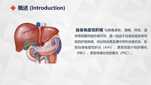 a0237 自身免疫性肝病护理知识教案课件PPT课件34页可编辑无水印直接可用 第3页