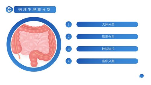 a0239 蓝色简约风结肠癌病人护理查房PPPPT课件23页可编辑无水印直接可用 第6页