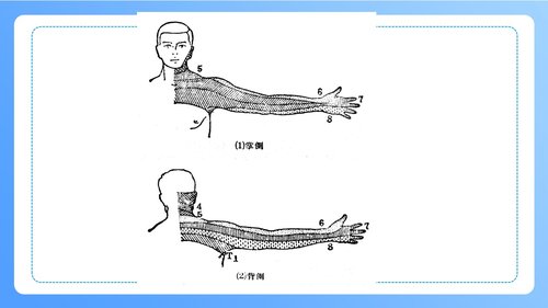 a0247 颈椎病病人的护理PPT课件47页可编辑无水印直接可用 第8页
