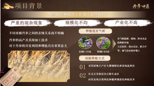 a0256 丹参中医PPT课件15页可编辑无水印直接可用 第2页