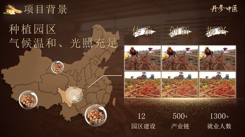 a0256 丹参中医PPT课件15页可编辑无水印直接可用 第3页