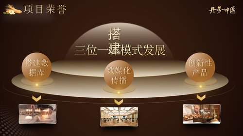 a0256 丹参中医PPT课件15页可编辑无水印直接可用 第9页