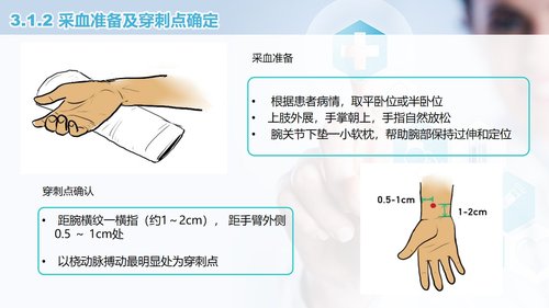 a0258 动脉血气分析临床操作及结果解读PPT课件50页可编辑无水印直接可用 第4页