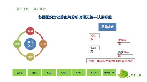 a0259 动脉血气分析临床操作实践标准PPT(40张)【41页】PPT课件41页可编辑无水印直接可用 第2页