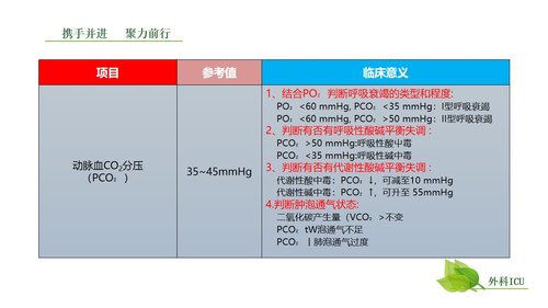 a0259 动脉血气分析临床操作实践标准PPT(40张)【41页】PPT课件41页可编辑无水印直接可用 第5页