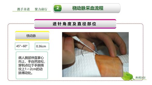 a0259 动脉血气分析临床操作实践标准PPT(40张)【41页】PPT课件41页可编辑无水印直接可用 第10页