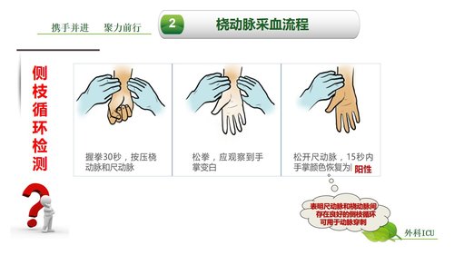 a0259 动脉血气分析临床操作实践标准PPT(40张)【41页】PPT课件41页可编辑无水印直接可用 第11页