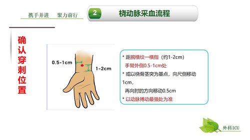 a0259 动脉血气分析临床操作实践标准PPT(40张)【41页】PPT课件41页可编辑无水印直接可用 第12页
