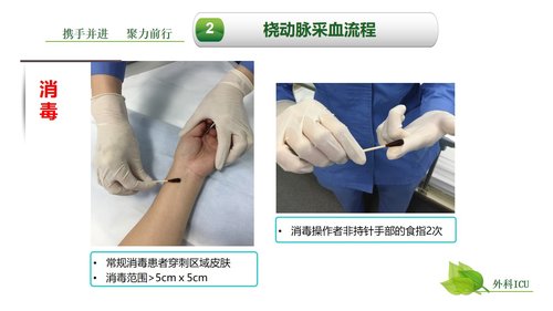 a0259 动脉血气分析临床操作实践标准PPT(40张)【41页】PPT课件41页可编辑无水印直接可用 第13页