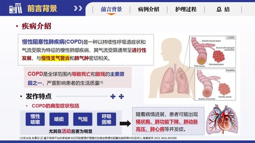 a0266 基于循证的慢性阻塞性肺疾病患者个案护理251223PPT课件19页可编辑无水印直接可用 第3页