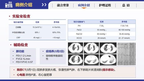 a0266 基于循证的慢性阻塞性肺疾病患者个案护理251223PPT课件19页可编辑无水印直接可用 第6页