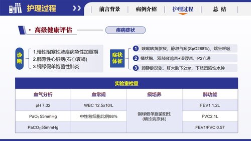 a0266 基于循证的慢性阻塞性肺疾病患者个案护理251223PPT课件19页可编辑无水印直接可用 第8页