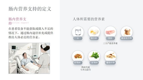 a0269 成人肠内营养支持的护理PPT课件34页可编辑无水印直接可用 第3页