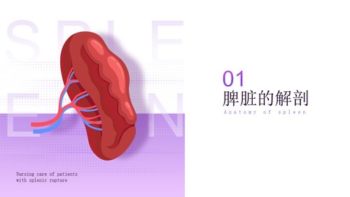 a0277 脾破裂患者的护理PPT课件33页可编辑无水印直接可用 第3页