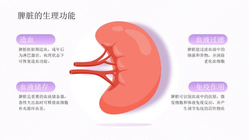 a0277 脾破裂患者的护理PPT课件33页可编辑无水印直接可用 第5页