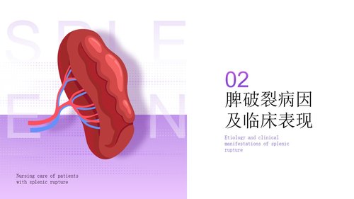 a0277 脾破裂患者的护理PPT课件33页可编辑无水印直接可用 第6页