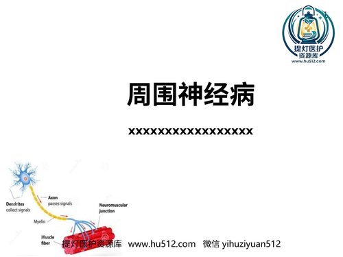 a00494 周围神经病 20页PPT文档可编辑无水印直接可用