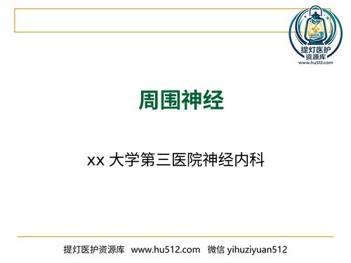 a00495 周围神经 20页PPT文档可编辑无水印直接可用