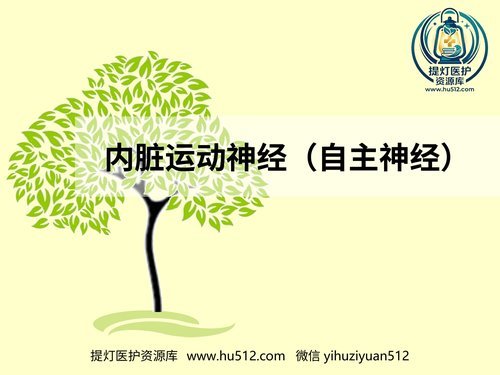a00528 内脏运动神经（自主神经） 20页PPT文档可编辑无水印直接可用