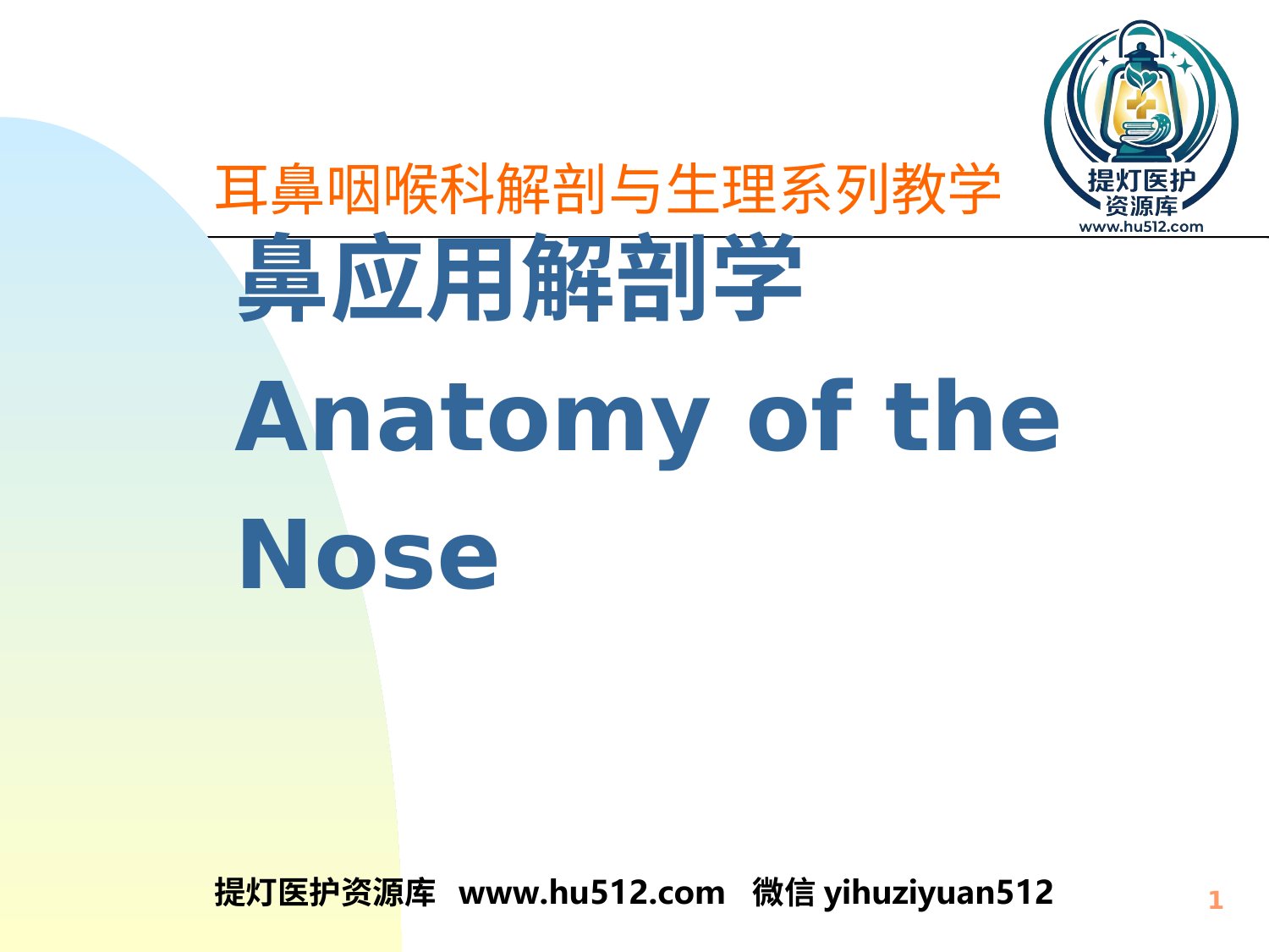 a00637 鼻解剖生理 ppt课件 20页PPT文档可编辑无水印直接可用