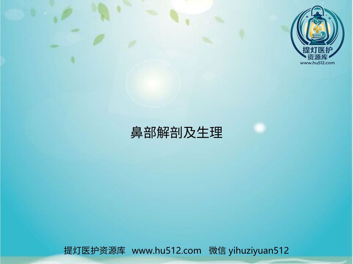 a00664 鼻部解剖及生理 20页PPT文档可编辑无水印直接可用