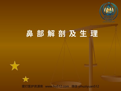 a00665 鼻部解剖及生理 (2) 20页PPT文档可编辑无水印直接可用