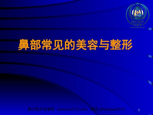 a00681 鼻部常见的美容与整形 20页PPT文档可编辑无水印直接可用
