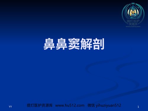 a00682 鼻鼻窦解剖医学PPT 20页PPT文档可编辑无水印直接可用