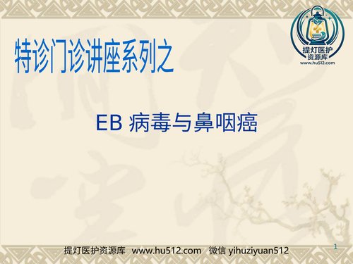 a00687 EB病毒与鼻咽癌PPT课件 20页PPT文档可编辑无水印直接可用